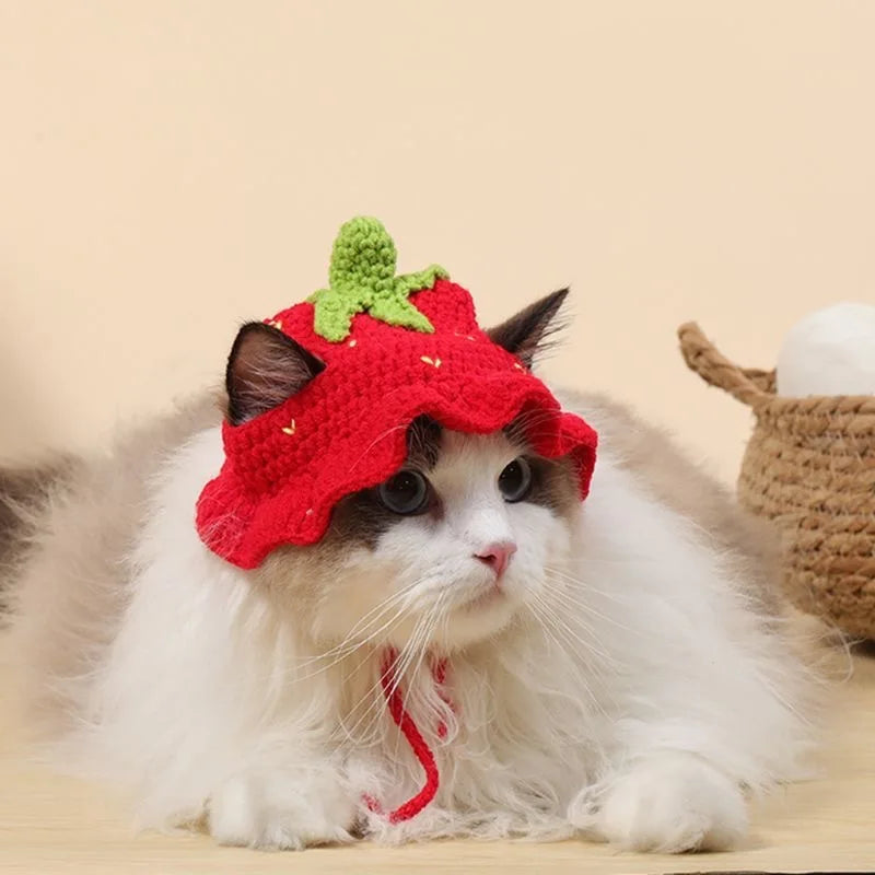 Cute Cat Hat